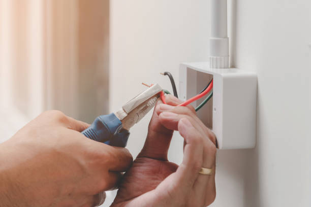 Best Electrical Maintenance Services  in Patton Village, TX